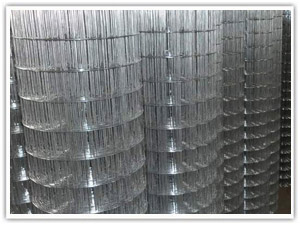不锈钢电焊网 不锈钢碰触网产品价格