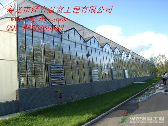 泽农温室工程，温室工程的领头羊