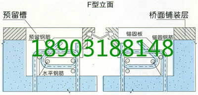 F80型桥梁伸缩缝|江苏、常州