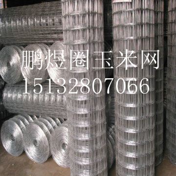加工定做圈玉米网