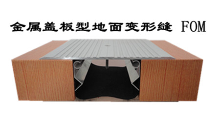 地面变形缝 伸缩缝