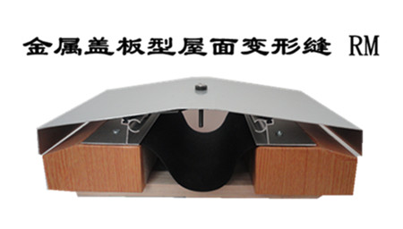屋面变形缝 伸缩缝 变形缝做法