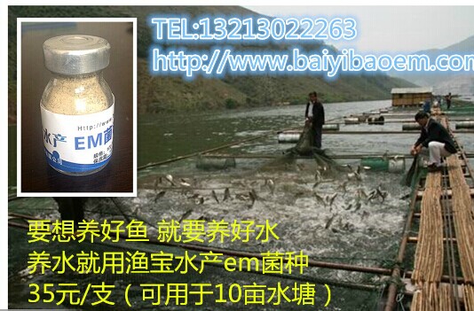 信阳水产调水EM菌 百益宝水产专用EM原液