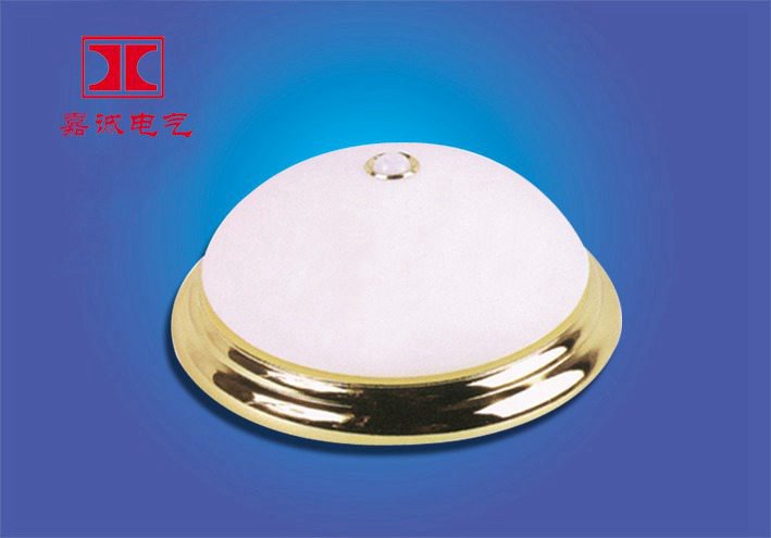 供应嘉诚红外感应灯