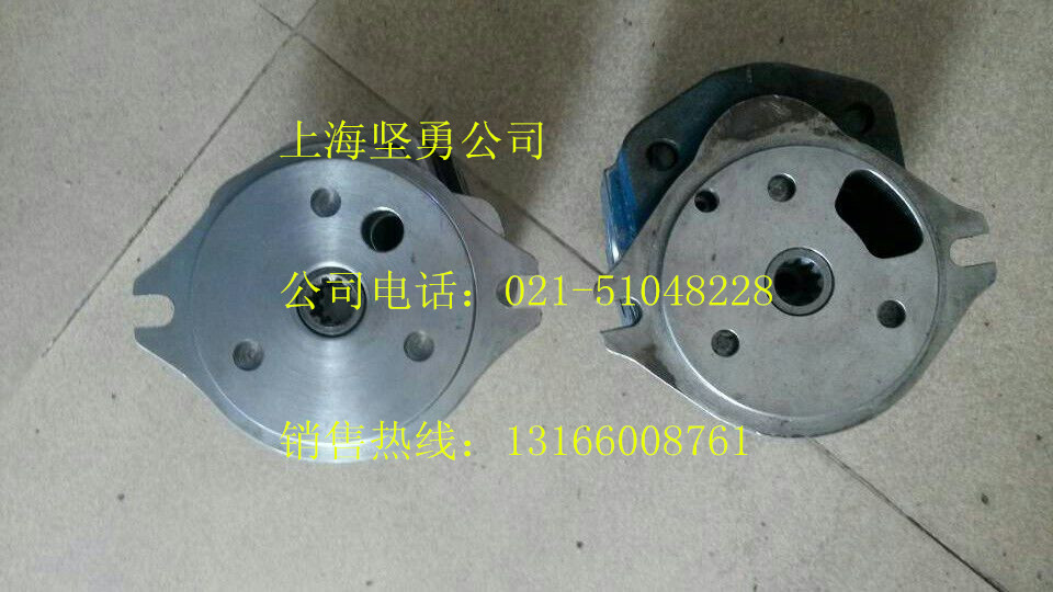 供应力士乐AP2D36齿轮泵