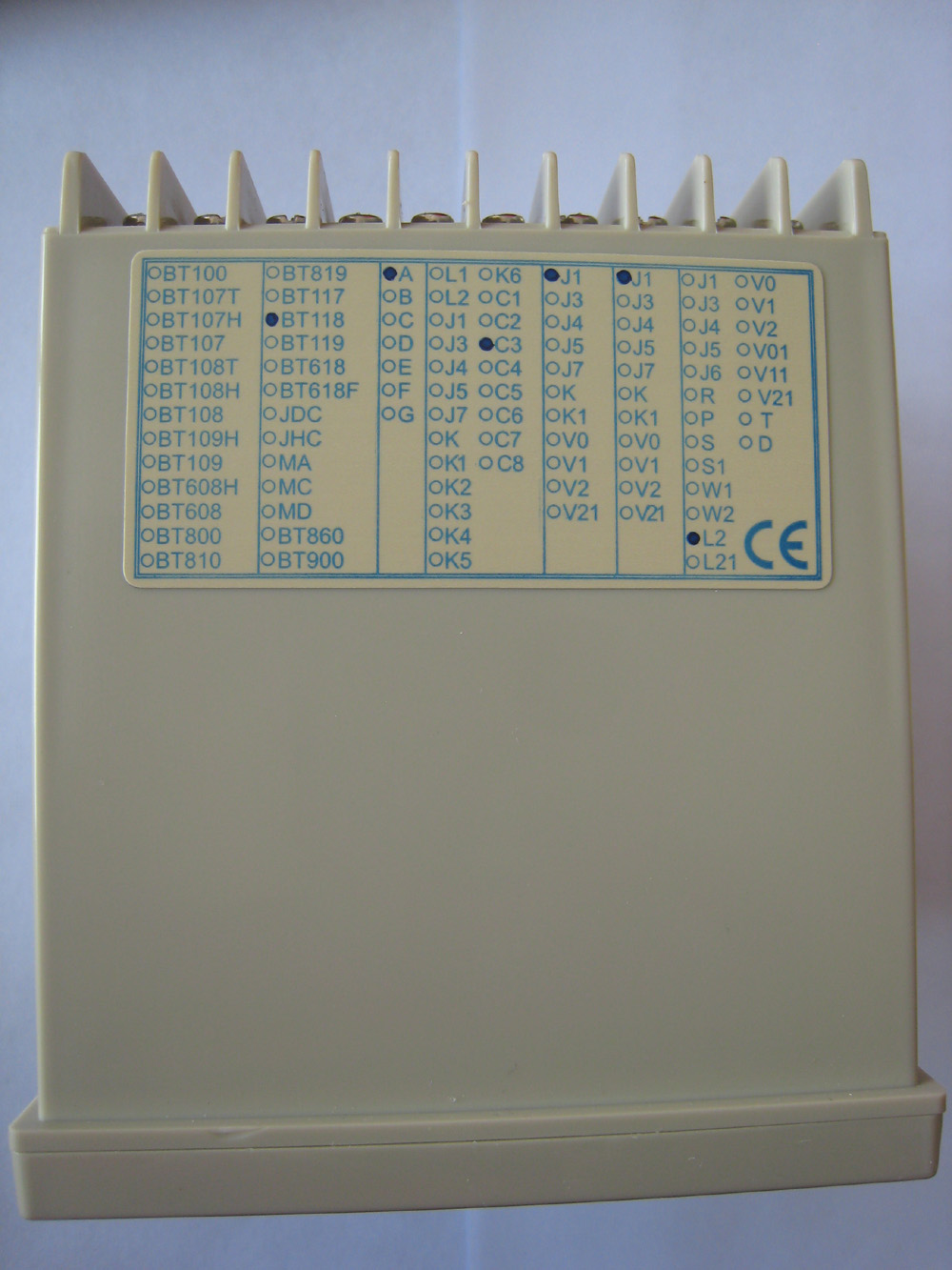 智能温控仪BT118A-C3J1J1L2 BT118-A-C3-J1-J1-L2