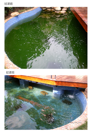 深圳锦鲤鱼池砂缸微生物过滤系统