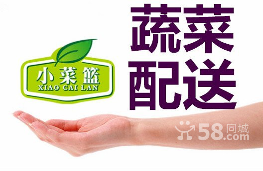 长安蔬菜配送公司 2012-09-05