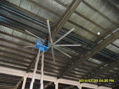厂房专用大风扇,广东6米大型工业风扇，深圳7.2米大风扇