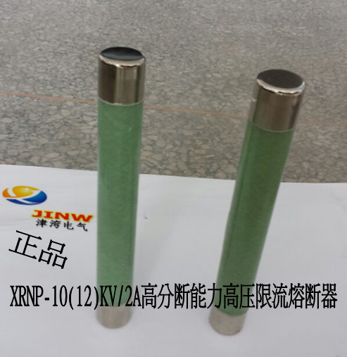 10KV互感器保护限流熔断器XRNP1-10/2A