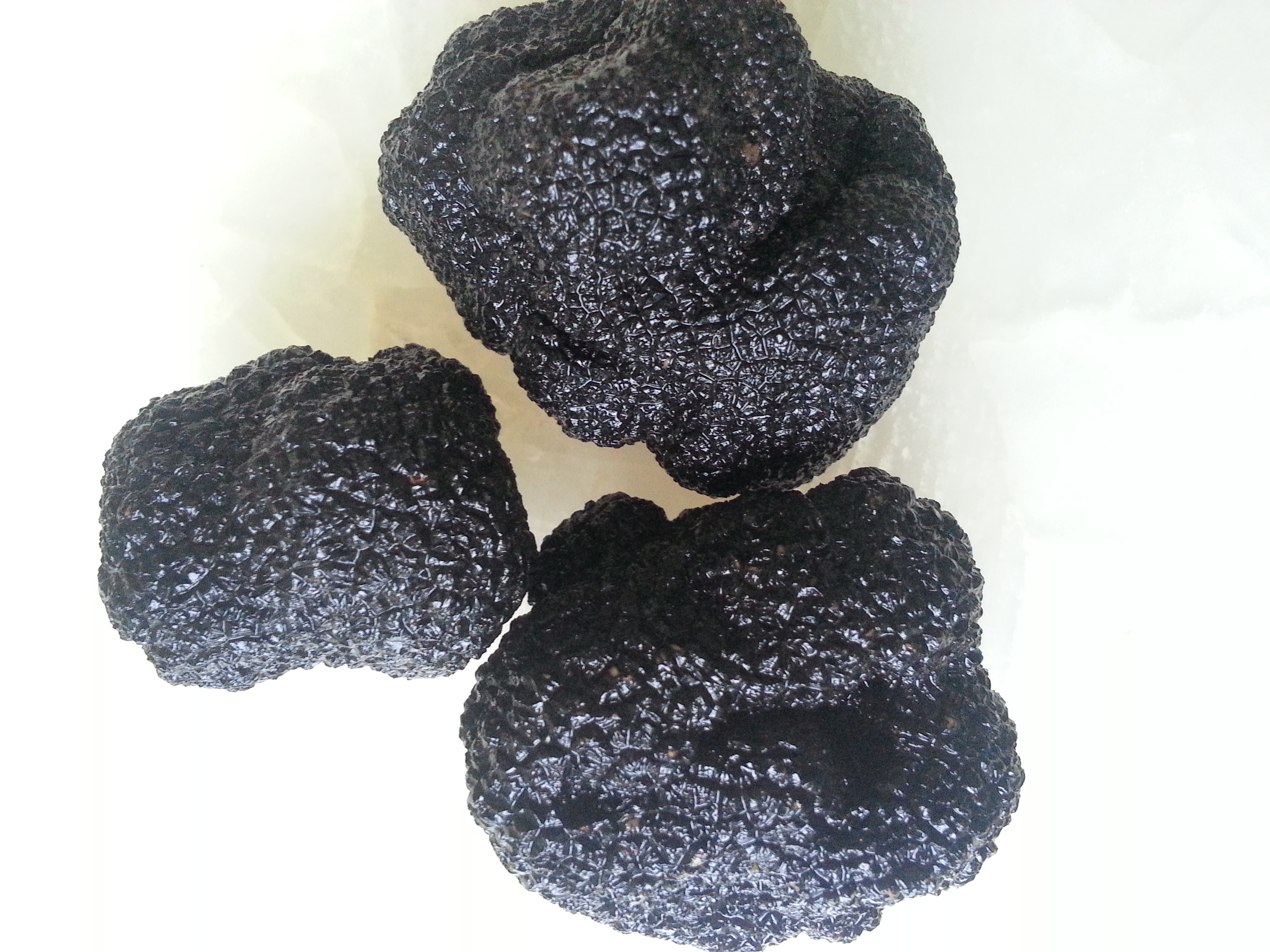 松露(truffle)鲜品-来自大凉山的世界珍味之王