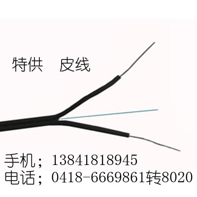 光纤皮线 皮线光缆 GJXH-光缆1芯 国标
