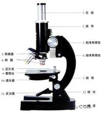 批发出售石家庄食品化验室设备生物显微镜