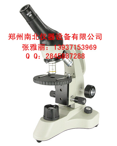 PH20-1A31L-A正置生物显微镜
