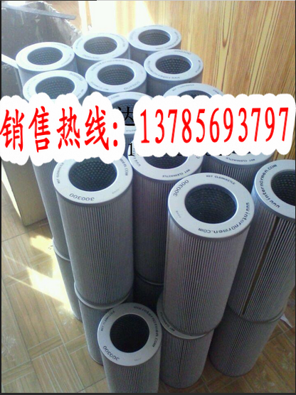 300300英德诺曼滤芯