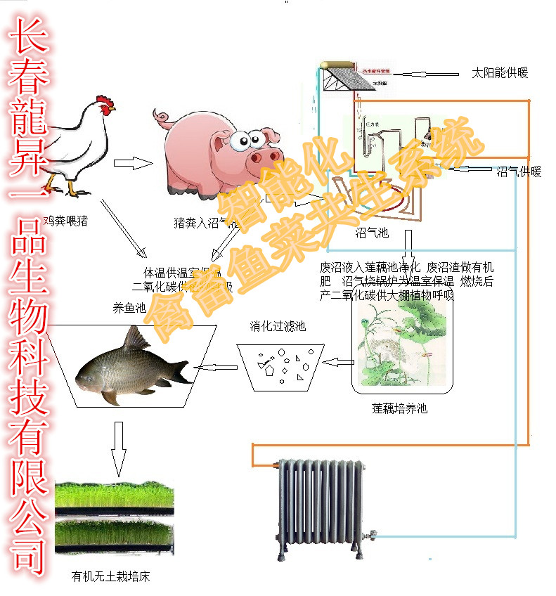 智能温室，禽畜鱼菜共生系统