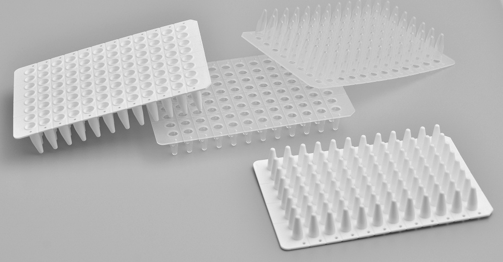 PCR96孔板（无裙边）