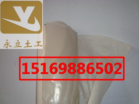 铜仁水库复合土工膜毕节两布一膜