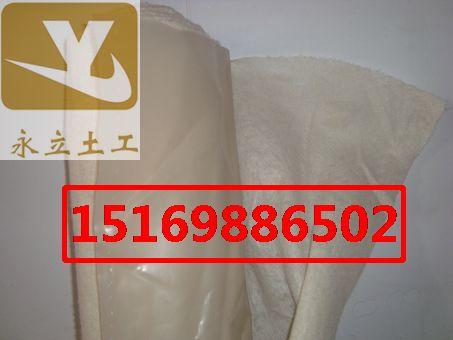 昭通人工湖两布一膜丽江水库复合土工膜