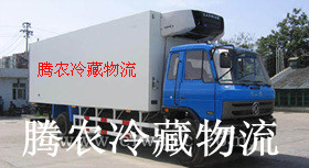 提供上海到淮北冷冻运输腾农恒温公司