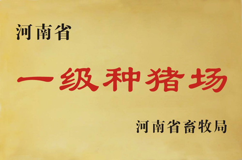 河南商丘公猪一头多少钱，诸美种猪场通过