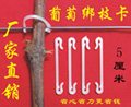 葡萄树绑枝卡子5厘米