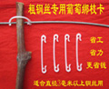 3毫米粗钢丝用绑枝卡葡萄无核膨大技术